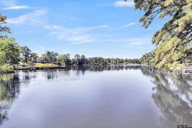 property view of water