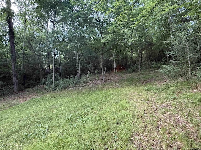 188 Lakeside Dr, Jacksonville, TX 75766 - photo 30