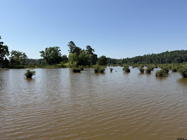 188 Lakeside Dr, Jacksonville, TX 75766 - photo 43
