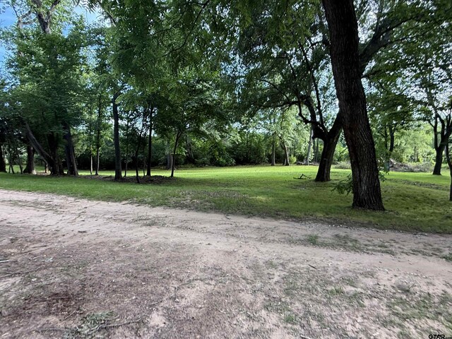 188 Lakeside Dr, Jacksonville, TX 75766 - photo 23