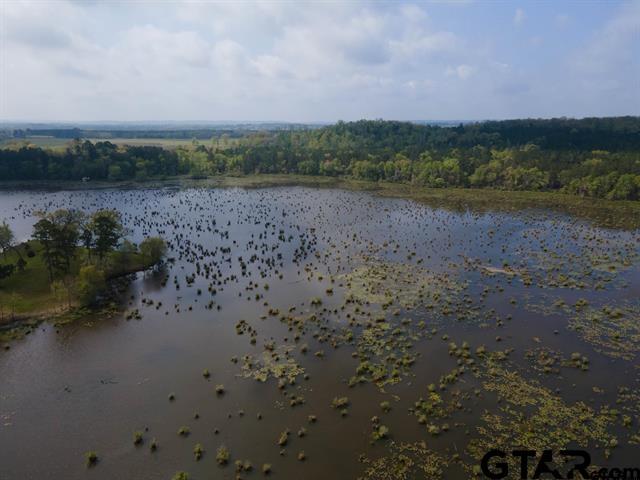 188 Lakeside Dr, Jacksonville, TX 75766 - photo 37