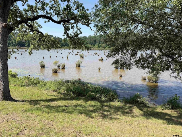 188 Lakeside Dr, Jacksonville, TX 75766 - photo 35
