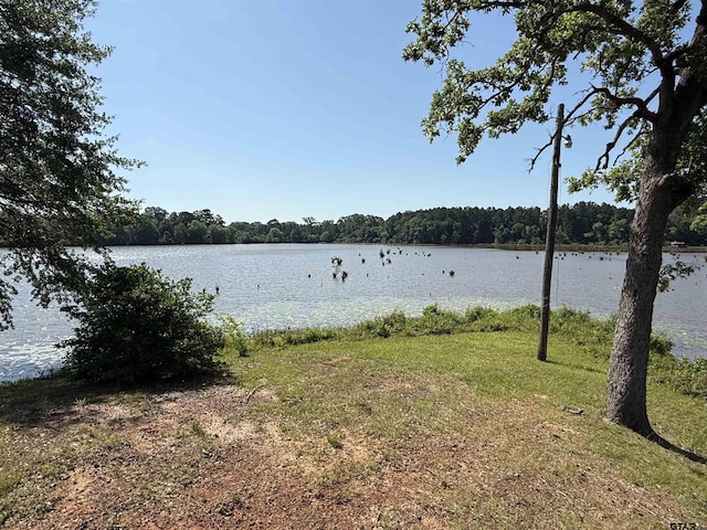 188 Lakeside Dr, Jacksonville, TX 75766 - photo 34