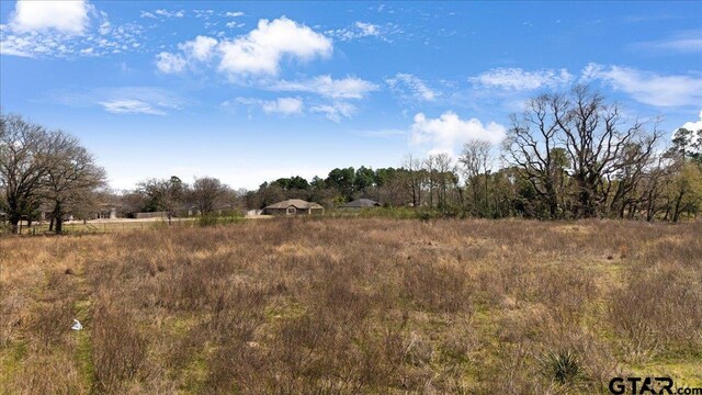 TBD S State Highway 37, Mineola, TX 75773 - photo 10