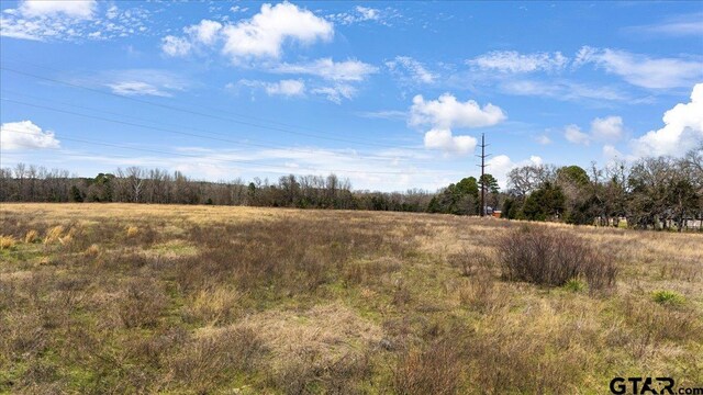 TBD S State Highway 37, Mineola, TX 75773 - photo 8