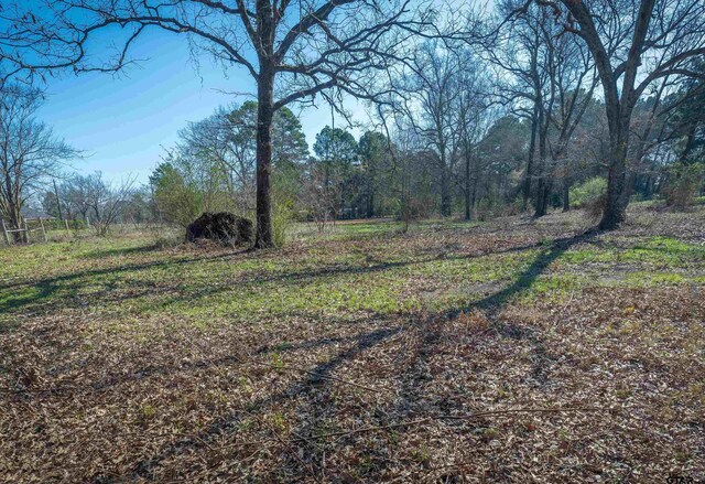 218 Stanley Rd, Longview, TX 75603 - photo 23