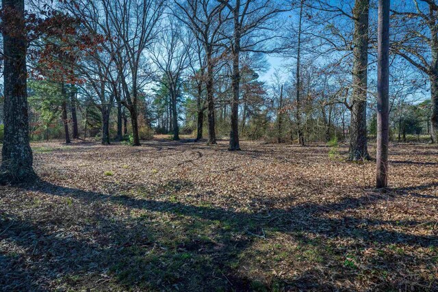218 Stanley Rd, Longview, TX 75603 - photo 24