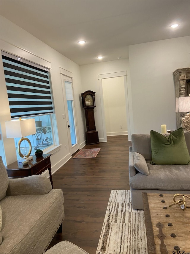 living room with dark wood-type flooring