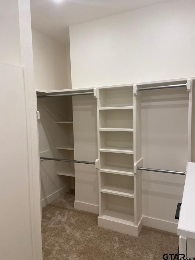 walk in closet with carpet flooring