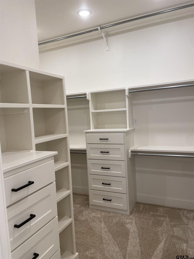 spacious closet with carpet