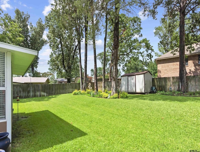 view of yard with a storage unit