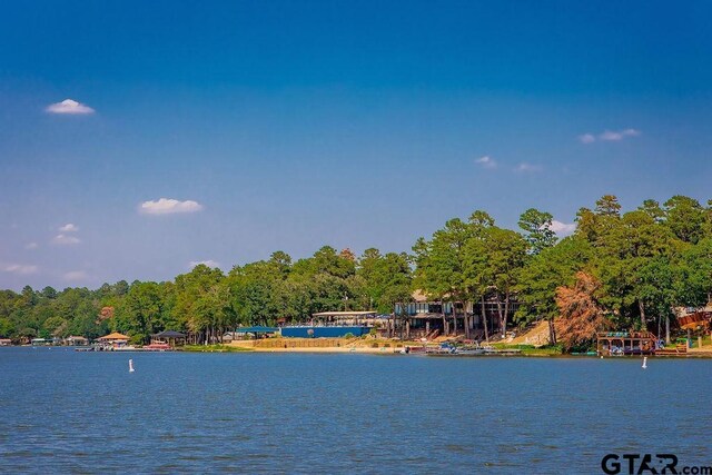 302 Harmony Ln, Hideaway, TX 75771 - photo 45
