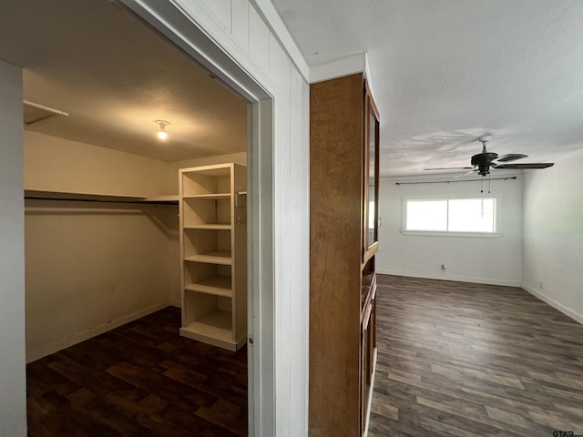 201 First St, Naples, TX 75568 - walk in closet with wood finished floors and ceiling fan