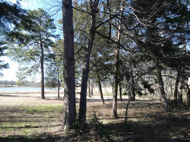 view of landscape featuring a water view