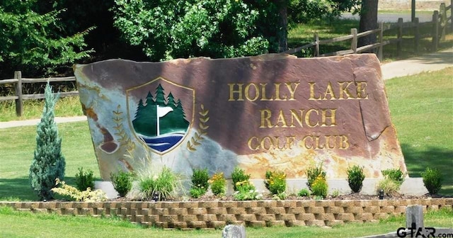 299 Lamplight Path, Holly Lake Ranch, TX 75765 - photo 41