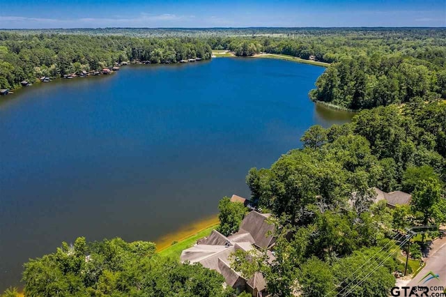 299 Lamplight Path, Holly Lake Ranch, TX 75765 - photo 48