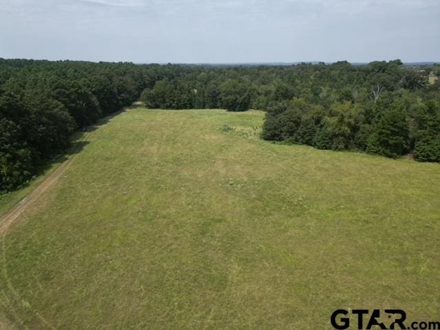 Listing photo 2 for TBD Fm 2493, Bullard TX 75757