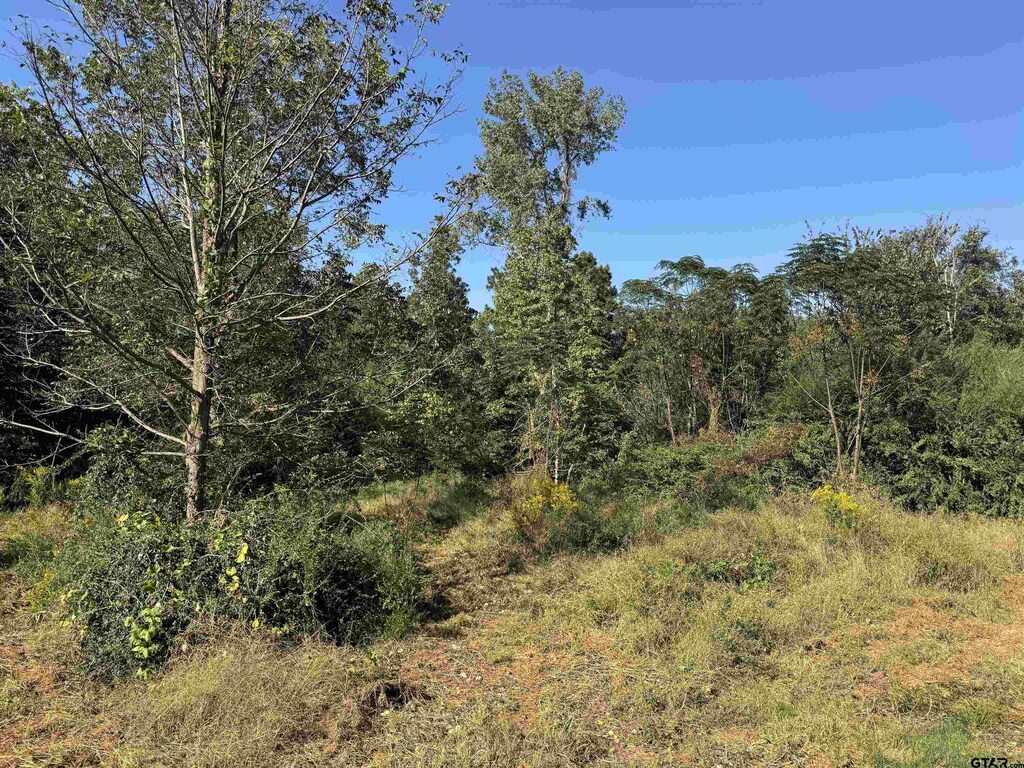 7079 Fm 241 S, Alto, TX 75925 - photo 1