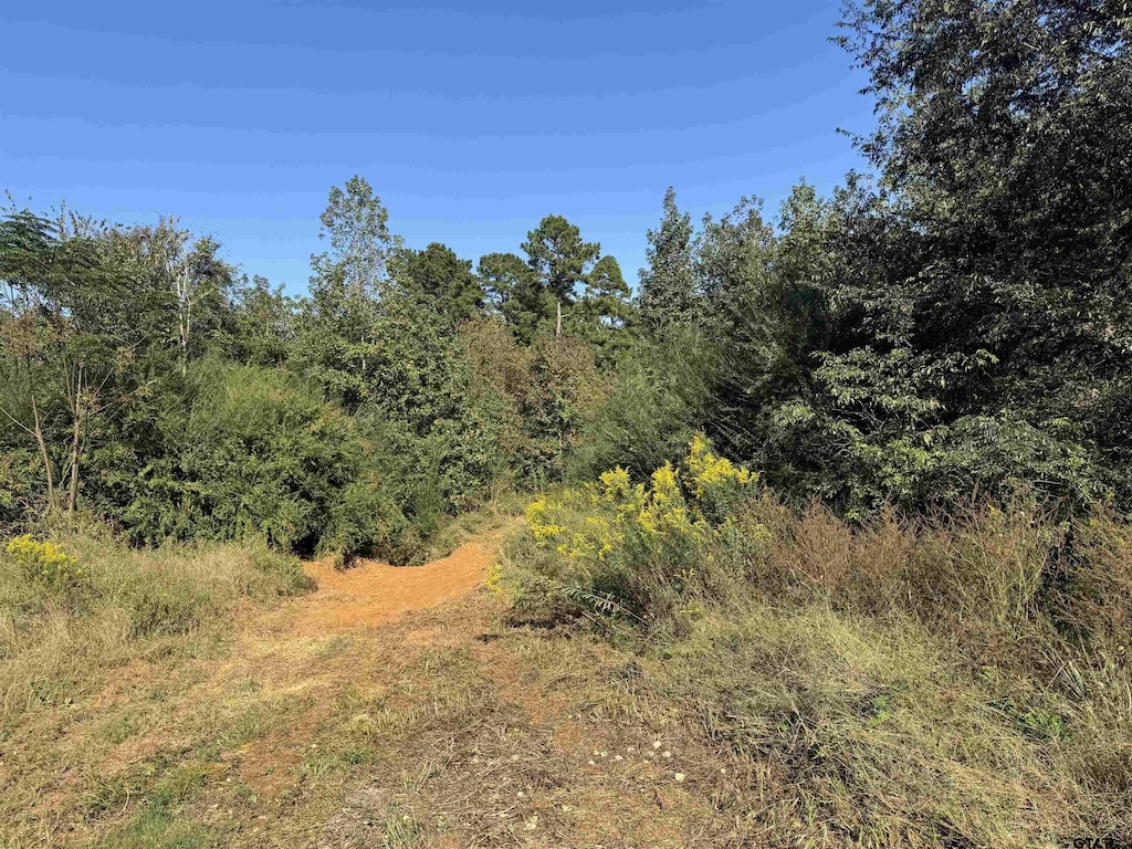 7079 Fm 241 S, Alto, TX 75925 - photo 3