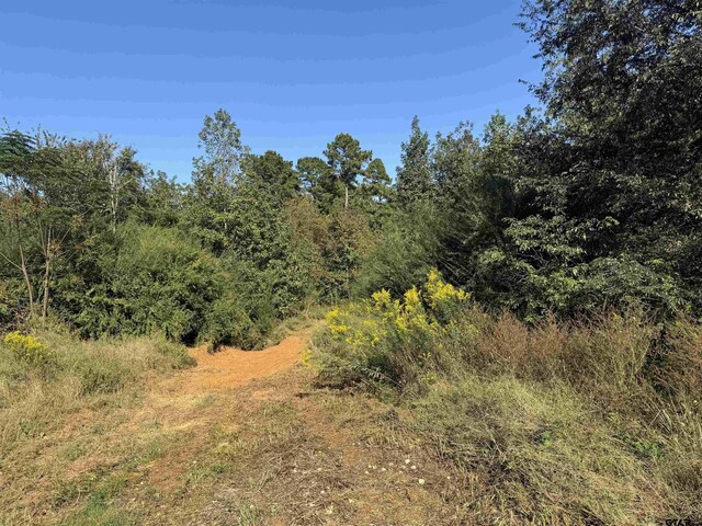 7079 Fm 241 S, Alto, TX 75925 - photo 3