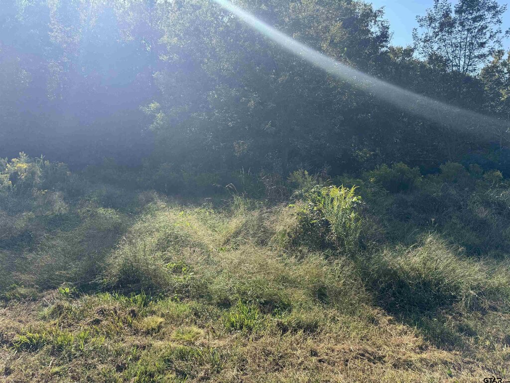 7079 Fm 241 S, Alto, TX 75925 - photo 2