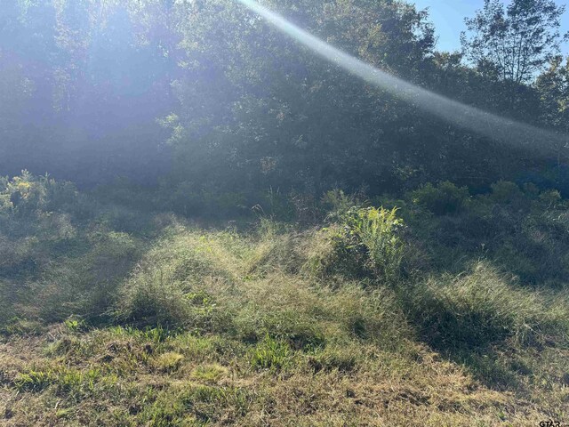 7079 Fm 241 S, Alto, TX 75925 - photo 2