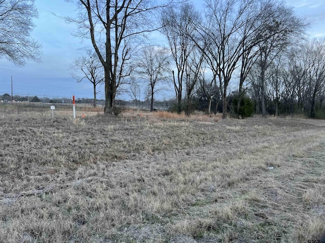 Listing photo 2 for TBD Highway 37, Winnsboro TX 75494