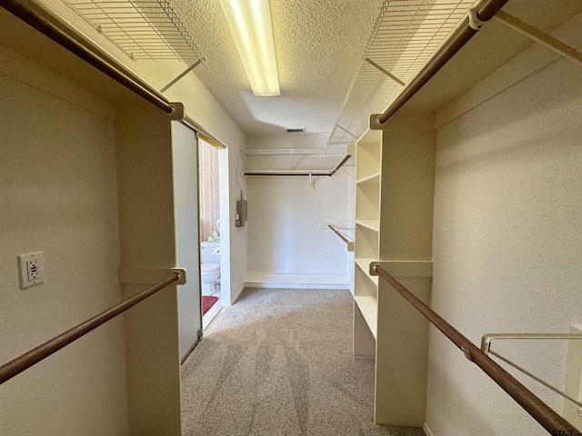 walk in closet featuring light colored carpet