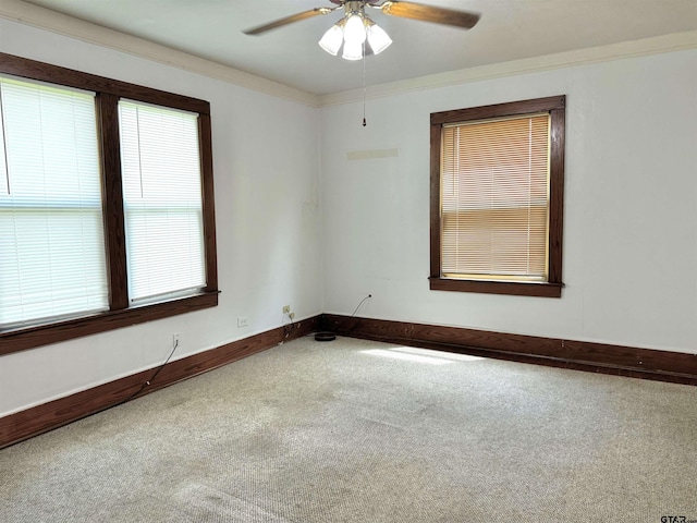 spare room featuring ceiling fan, crown molding, and carpet