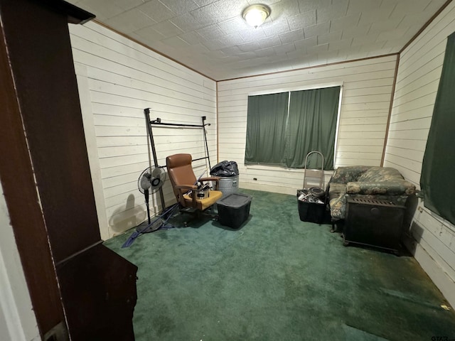 living area featuring wooden walls and carpet