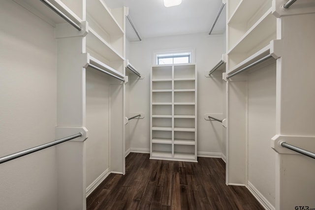 walk in closet featuring dark hardwood / wood-style floors