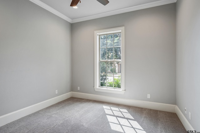 unfurnished room featuring carpet flooring, ceiling fan, and crown molding