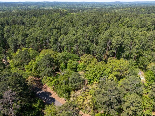 TBD Timberidge Trail, Holly Lake Ranch, TX 75765
