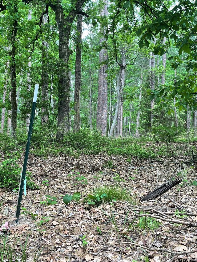 TBD Timberidge Trail, Holly Lake Ranch, TX 75765