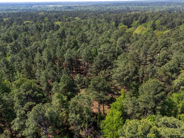 TBD Timberidge Trail, Holly Lake Ranch, TX 75765
