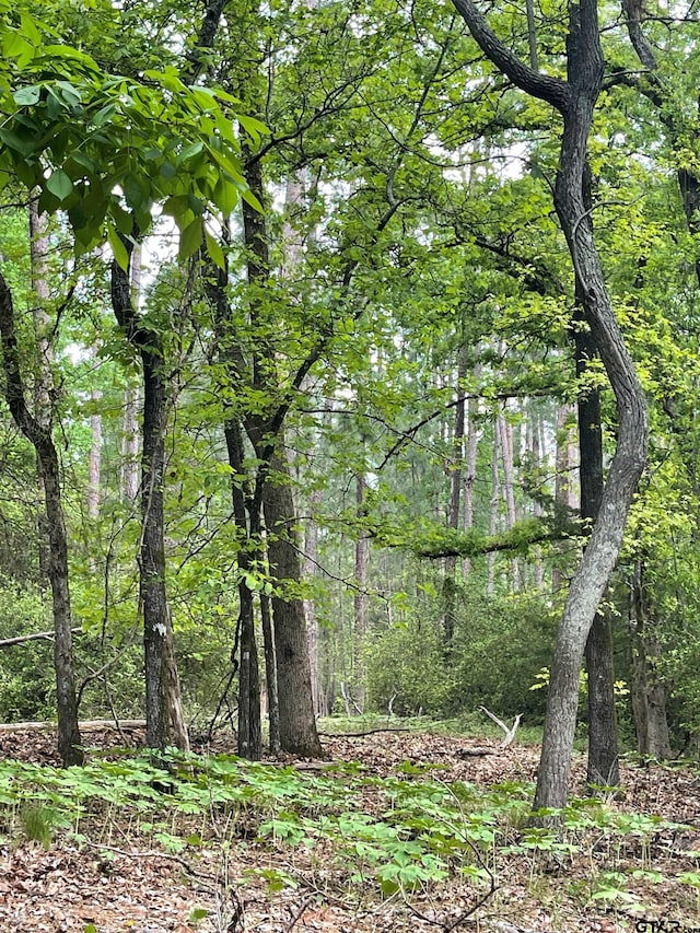 TBD Timberidge Trail, Holly Lake Ranch, TX 75765