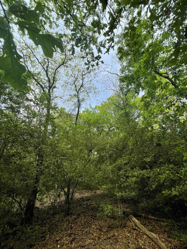 TBD Timberidge Trail, Holly Lake Ranch, TX 75765