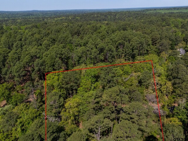 TBD Timberidge Trail, Holly Lake Ranch, TX 75765