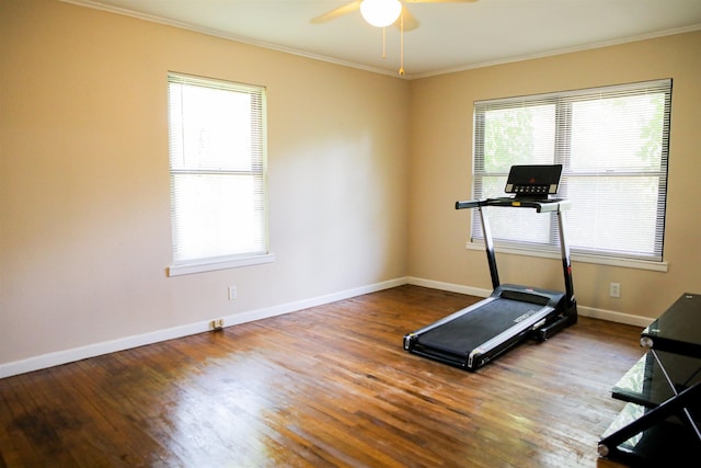 3008 Oak Knob Dr, Tyler, TX 75701 - workout area featuring ornamental molding, a ceiling fan, healthy amount of natural light, and wood finished floors