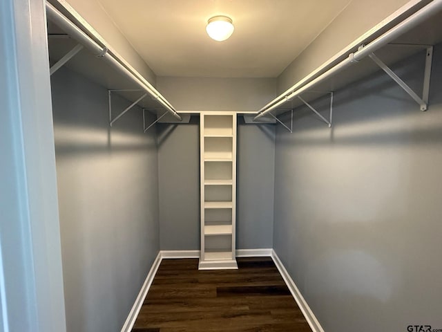 spacious closet featuring dark wood-style floors