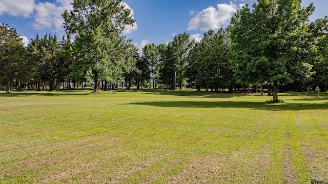 7635 N US Highway 271, Mount Pleasant, TX 75455 - photo 38