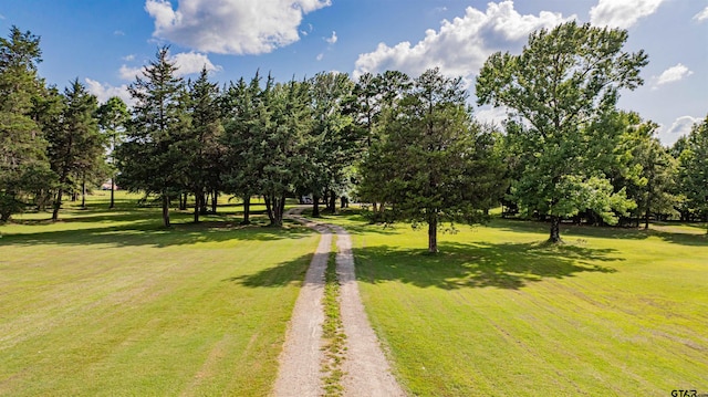 7635 N US Highway 271, Mount Pleasant, TX 75455 - photo 42
