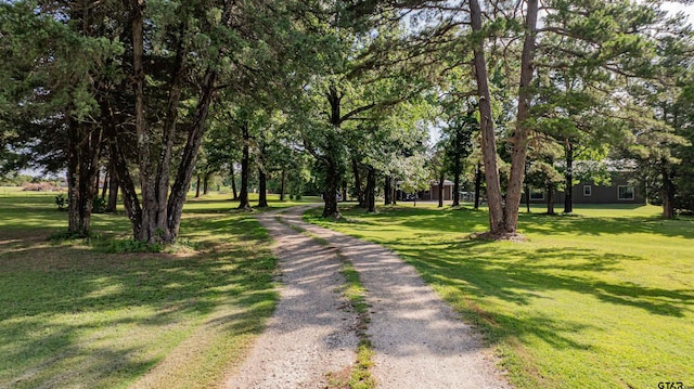 7635 N US Highway 271, Mount Pleasant, TX 75455 - photo 43