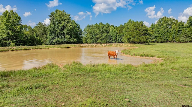 7635 N US Highway 271, Mount Pleasant, TX 75455 - photo 39