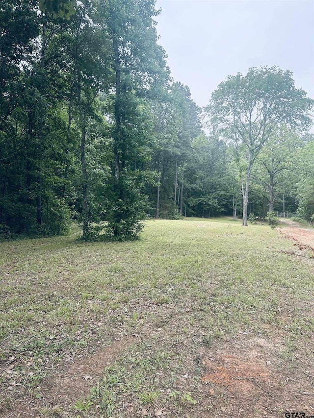 TBD Brandon St, Troup, TX 75789 - photo 3