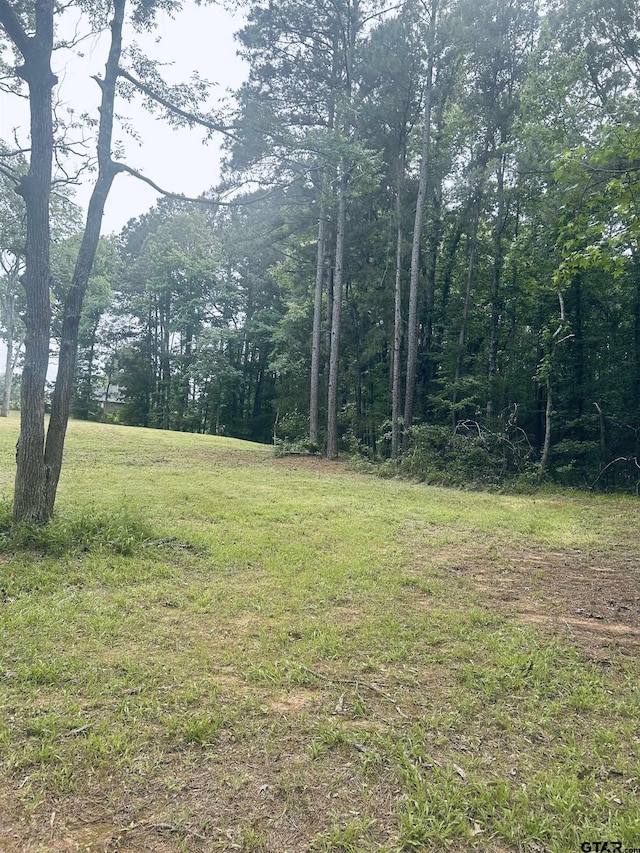 TBD Brandon St, Troup, TX 75789 - photo 4