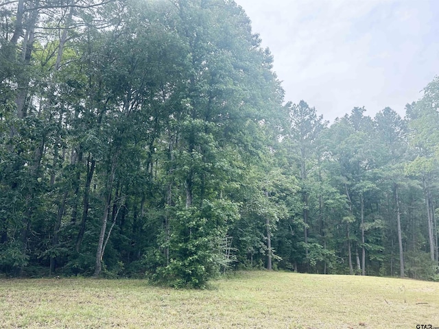 TBD Brandon St, Troup, TX 75789 - photo 2