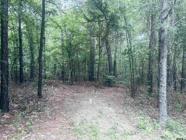 TBD Brandon St, Troup, TX 75789 - photo 7