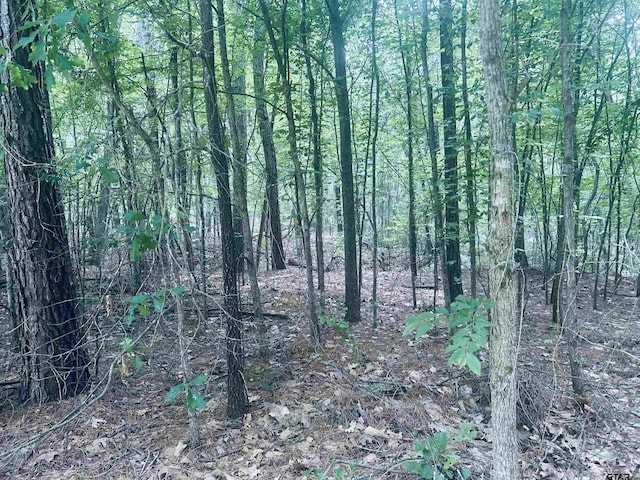 TBD Brandon St, Troup, TX 75789 - photo 8