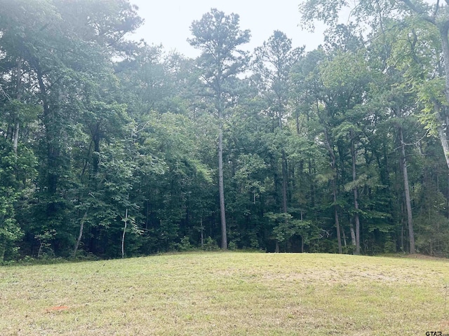 TBD Brandon St, Troup, TX 75789 - photo 1